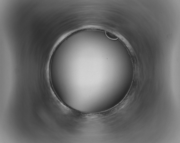 X0000115661199200911190959
