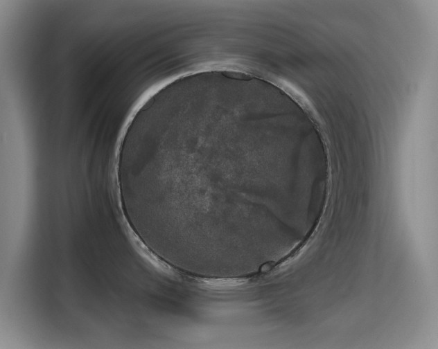 X0000115661200200911190959