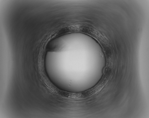 X0000115661201200911190958