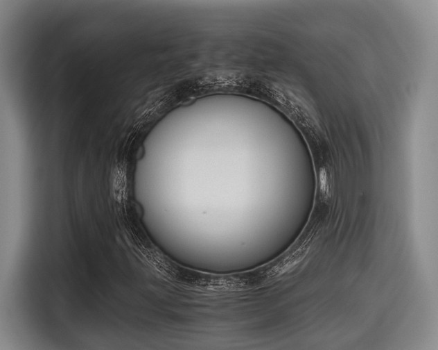 X0000115661203200911190958