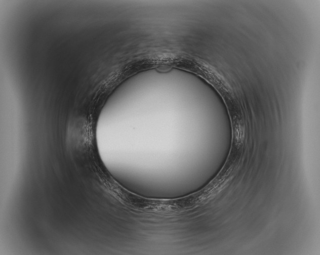 X0000115661204200911190958