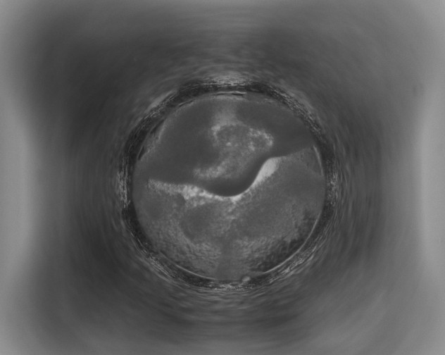 X0000115661205200911190958