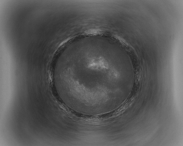 X0000115661206200911190958