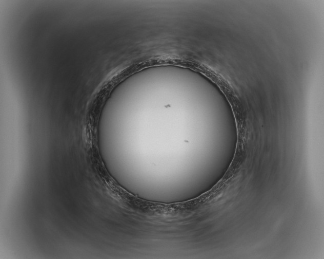 X0000115661207200911190958