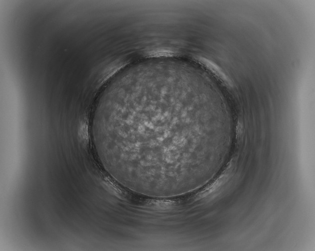 X0000115661209200911190958