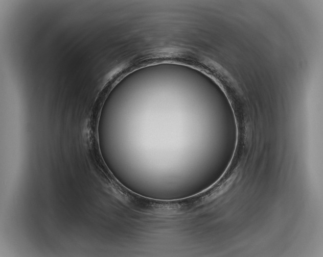 X0000115661210200911190958
