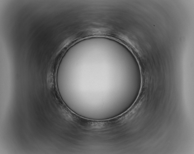 X0000115661211200911190958