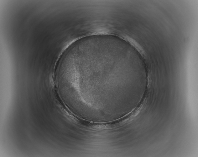 X0000115661212200911190958