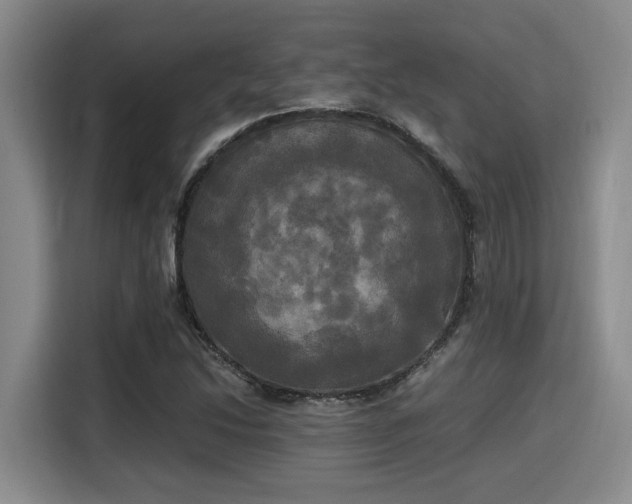 X0000115661214200911190958