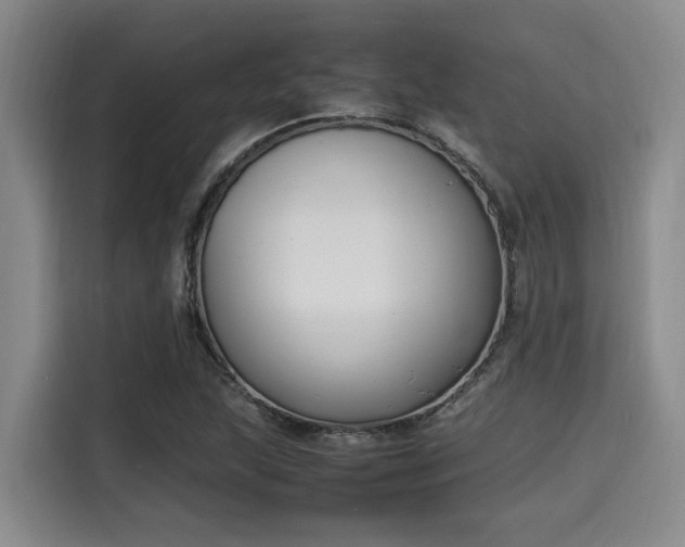 X0000115661215200911190958