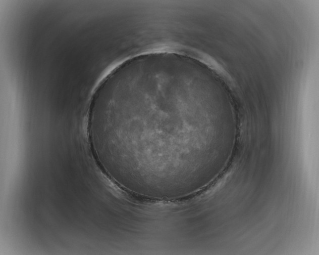 X0000115661216200911190958