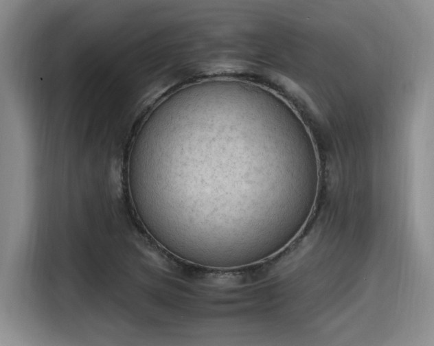 X0000115661217200911190958