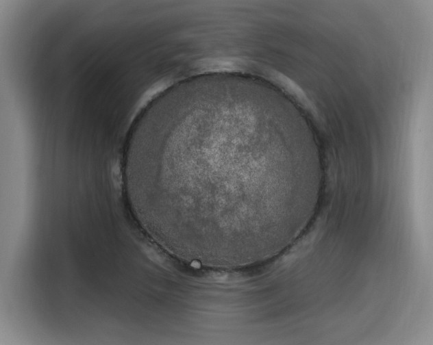 X0000115661218200911190958
