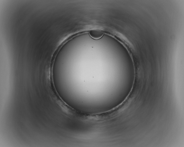 X0000115661220200911190958