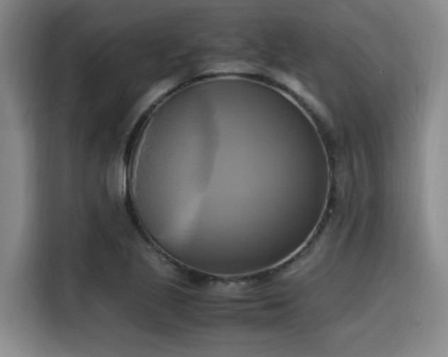 X0000115661221200911190958