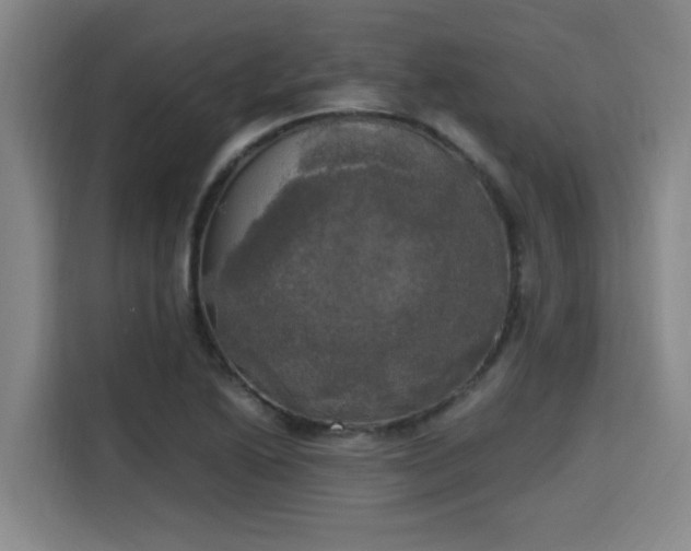 X0000115661222200911190958