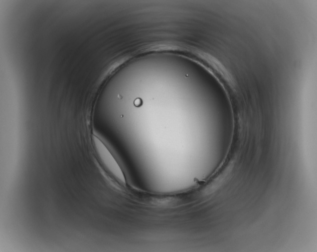 X0000115661225200911190958