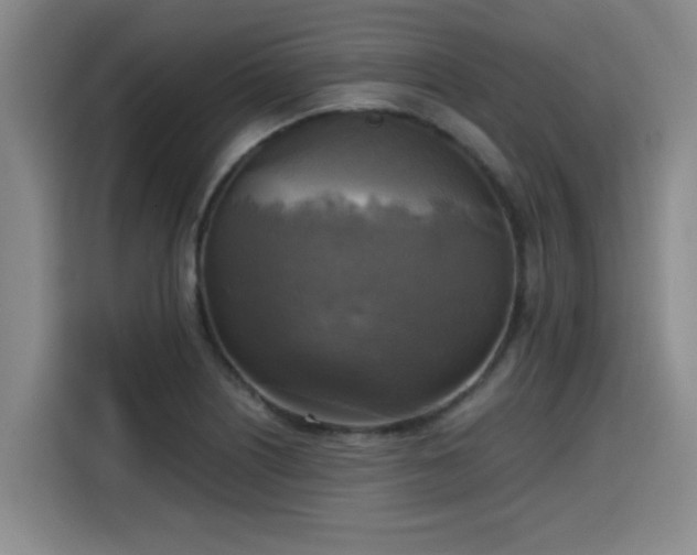 X0000115661226200911190958