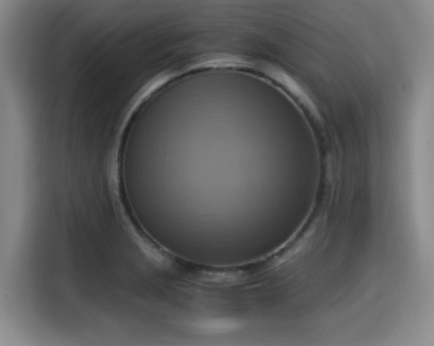 X0000115661229200911190958