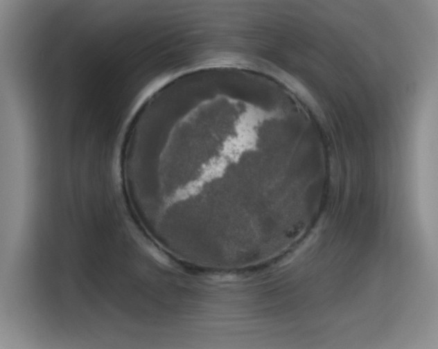 X0000115661230200911190958