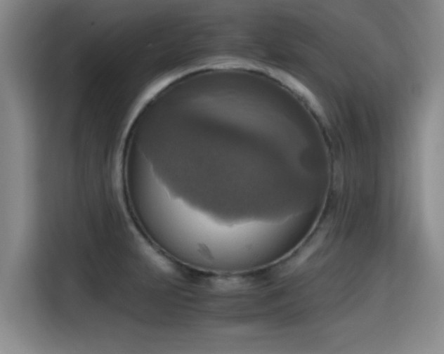 X0000115661231200911190958