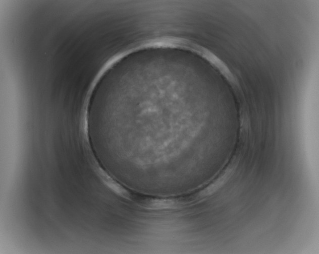 X0000115661232200911190958