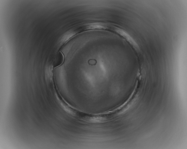 X0000115661233200911190958