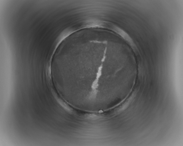 X0000115661234200911190958