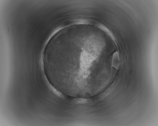 X0000115661235200911190958