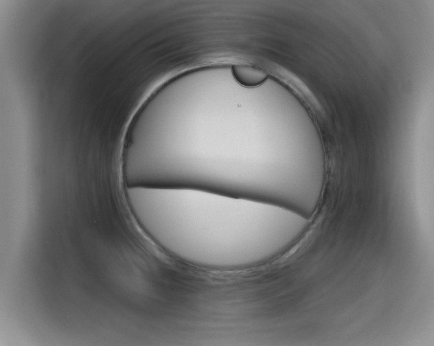 X0000115661236200911190958