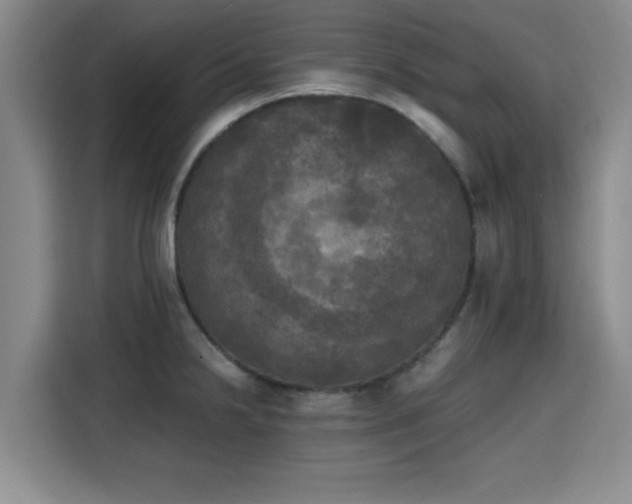 X0000115661238200911190958