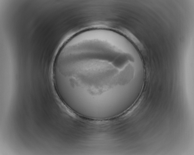 X0000115661240200911190958
