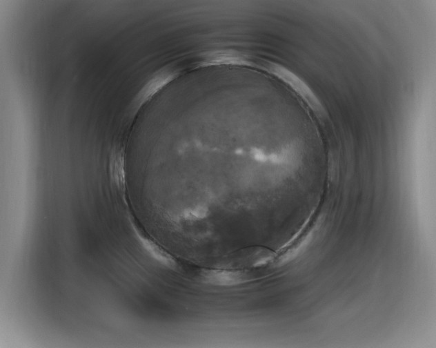 X0000115661241200911190958