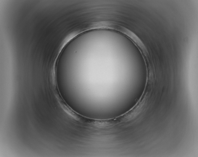 X0000115661242200911190958