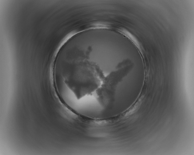 X0000115661243200911190958
