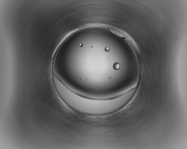 X0000115661244200911190959