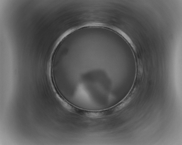 X0000115661245200911190959