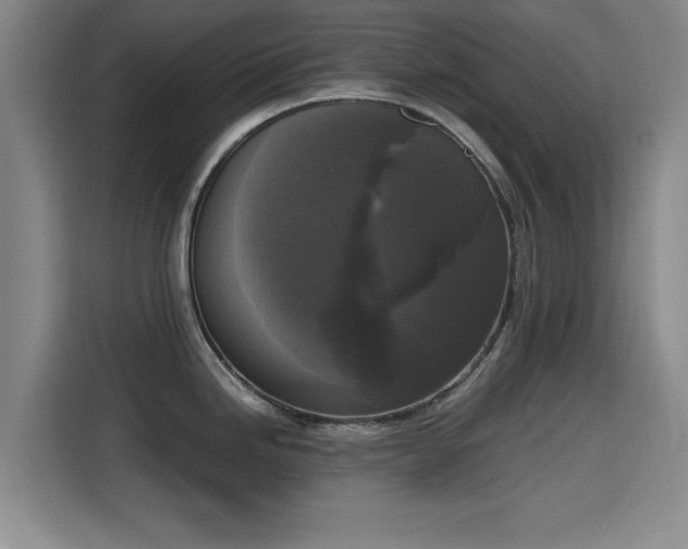 X0000115661246200911190959