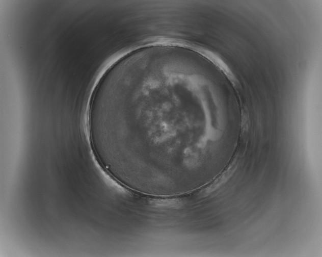 X0000115661247200911190959