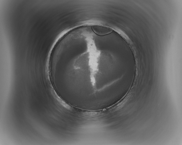 X0000115661248200911190959