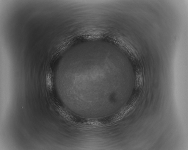 X0000115661250200911190958