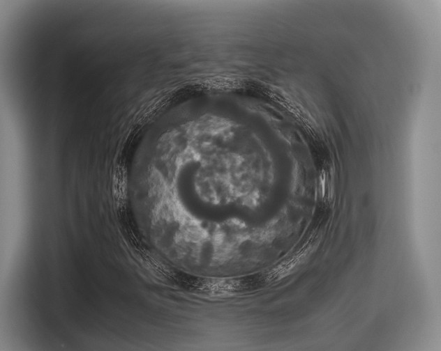 X0000115661251200911190958