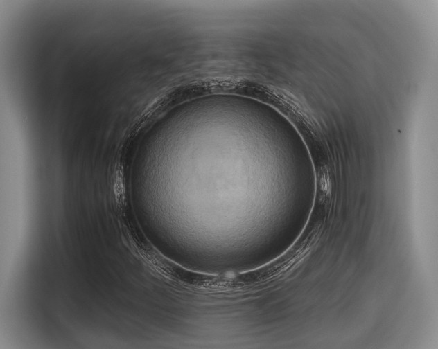 X0000115661252200911190958