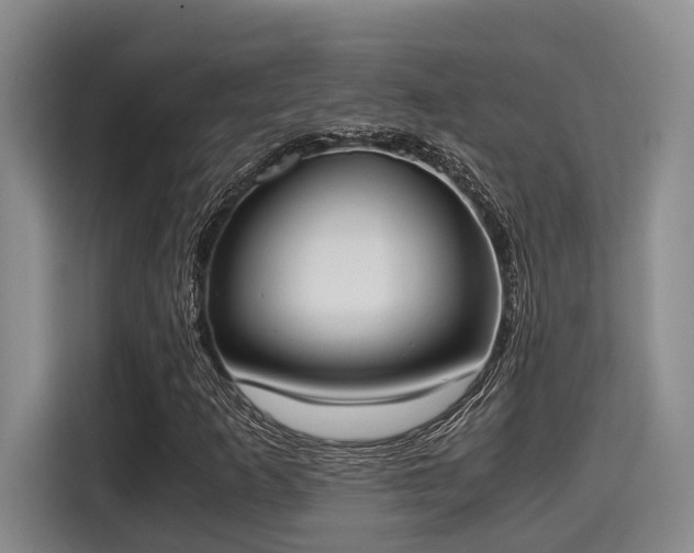 X0000115661253200911190958