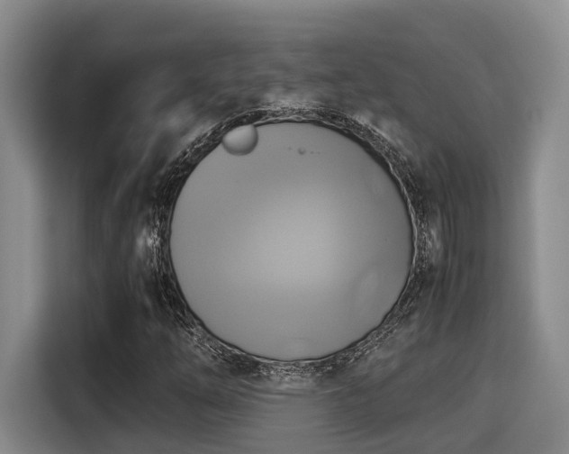 X0000115661254200911190958