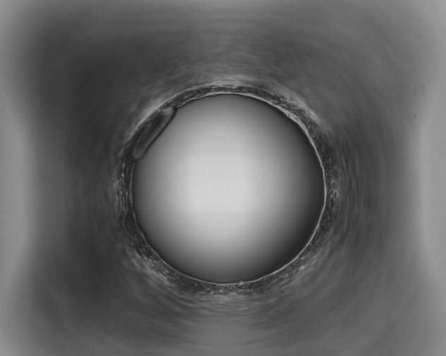 X0000115661256200911190958