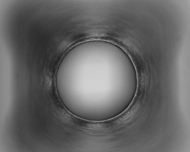 X0000115661257200911190958