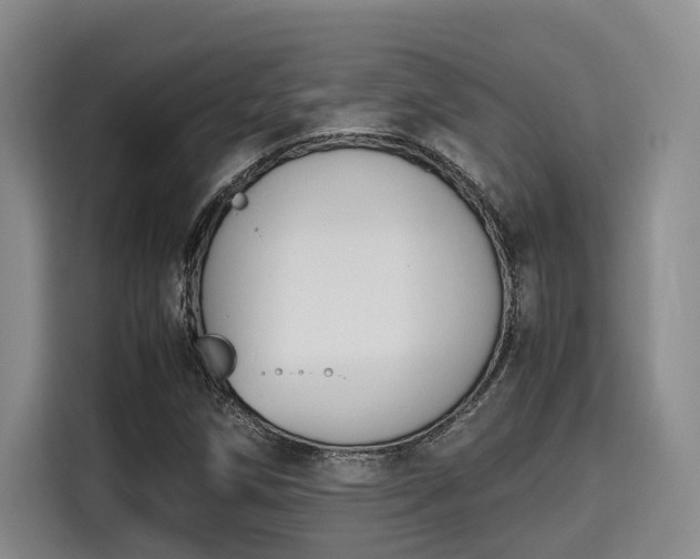 X0000115661258200911190958