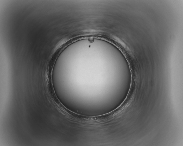 X0000115661259200911190958