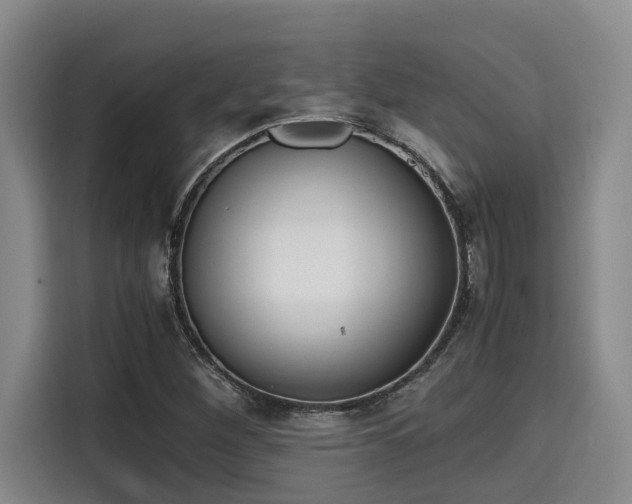 X0000115661260200911190958